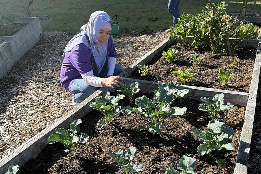 South Campus gardens