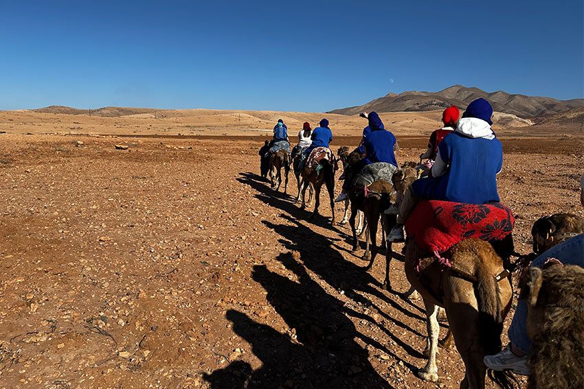 Arahi abroad