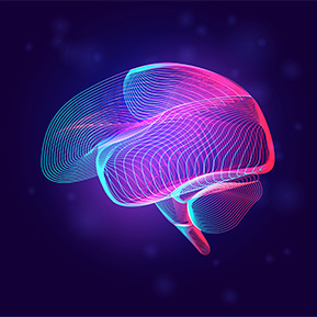World-First brain WOF launched at AUT