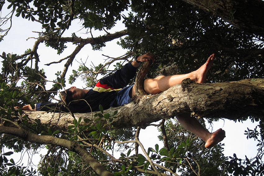 Steffen in NZ