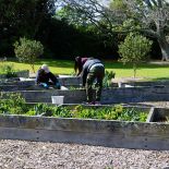 Busy workers in the gardens