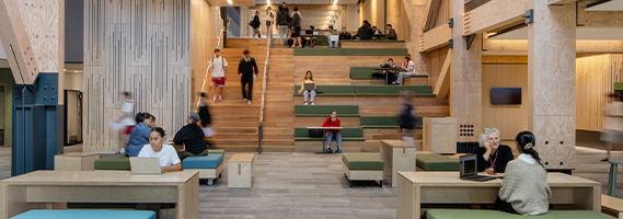 Scenes from a library