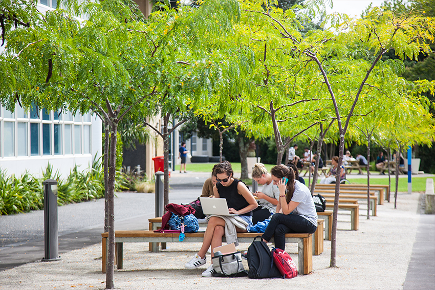 North Campus on Auckland’s North Shore has lots of wide open green space