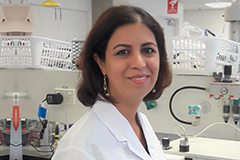 Hamideh-Gholizadeh