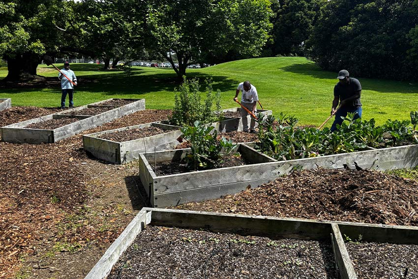 South Campus gardens