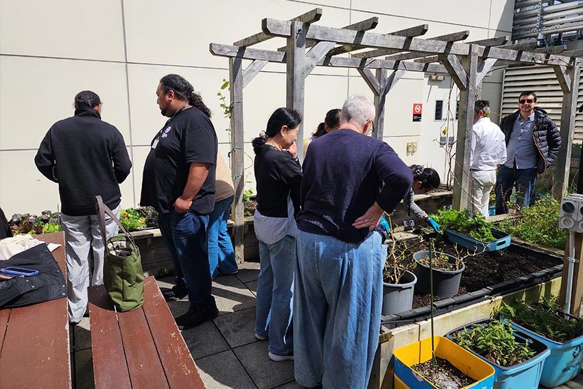 Kaitiakitanga WH Garden Club