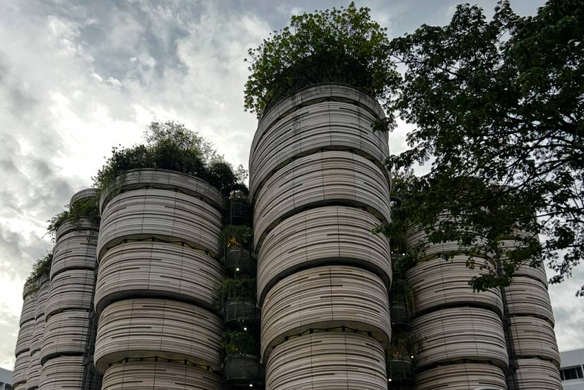 Connor studies and explores abroad