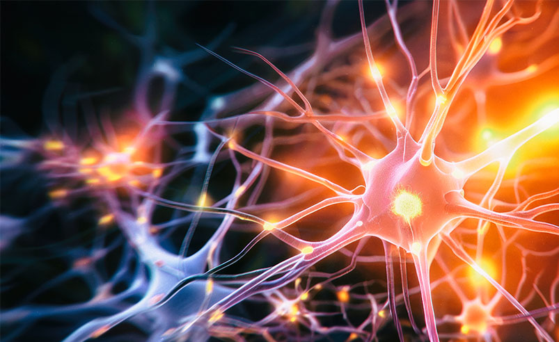 brain-health.jpg