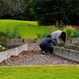 Busy workers in the gardens