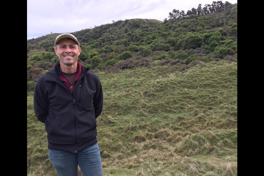 Sheep and beef farms near carbon neutral