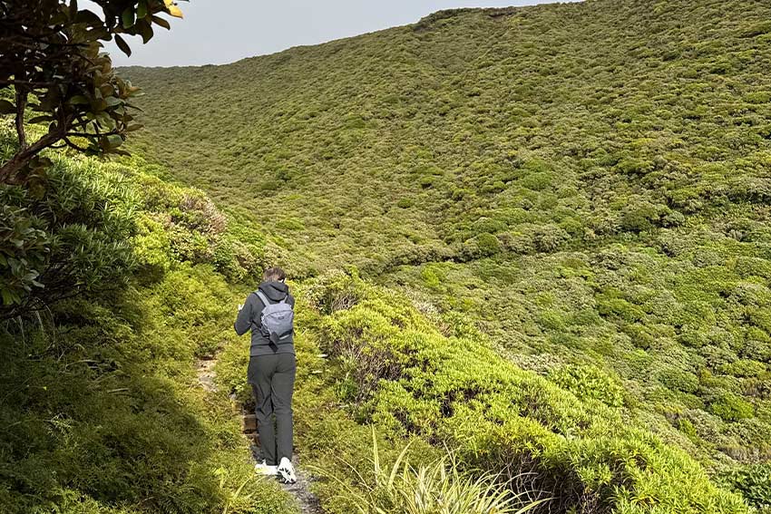 Maxime explores NZ