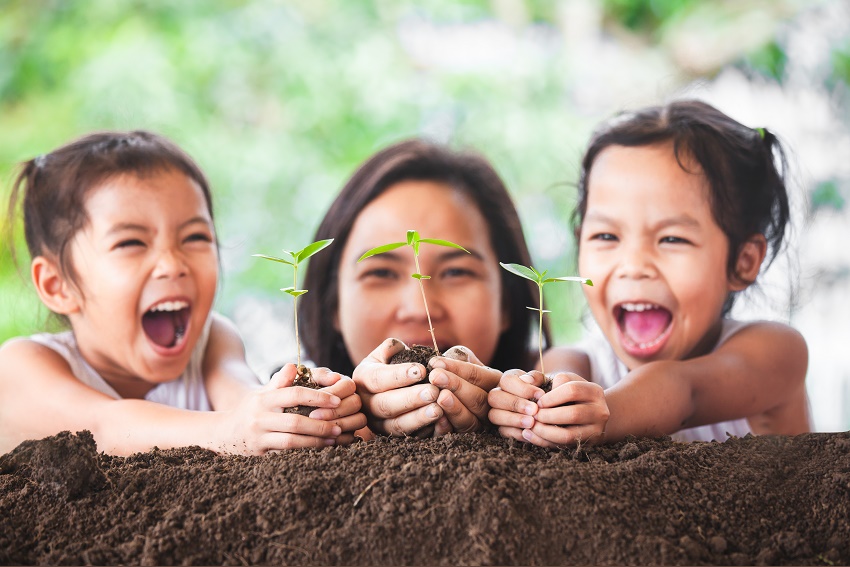 A family plants trees 