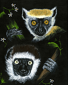 Lemurs painting