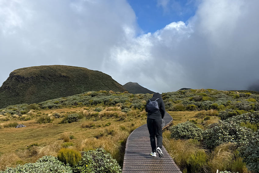 Maxime explores NZ