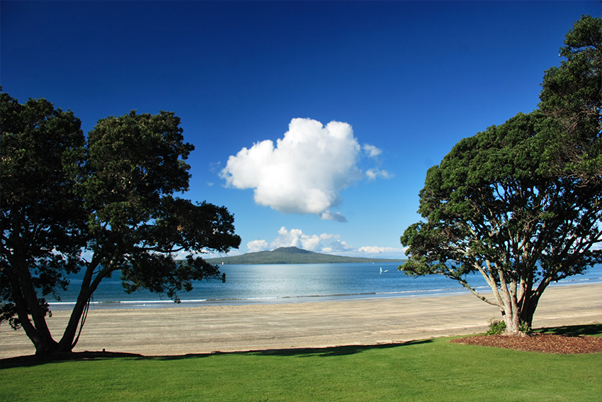 auckland beach