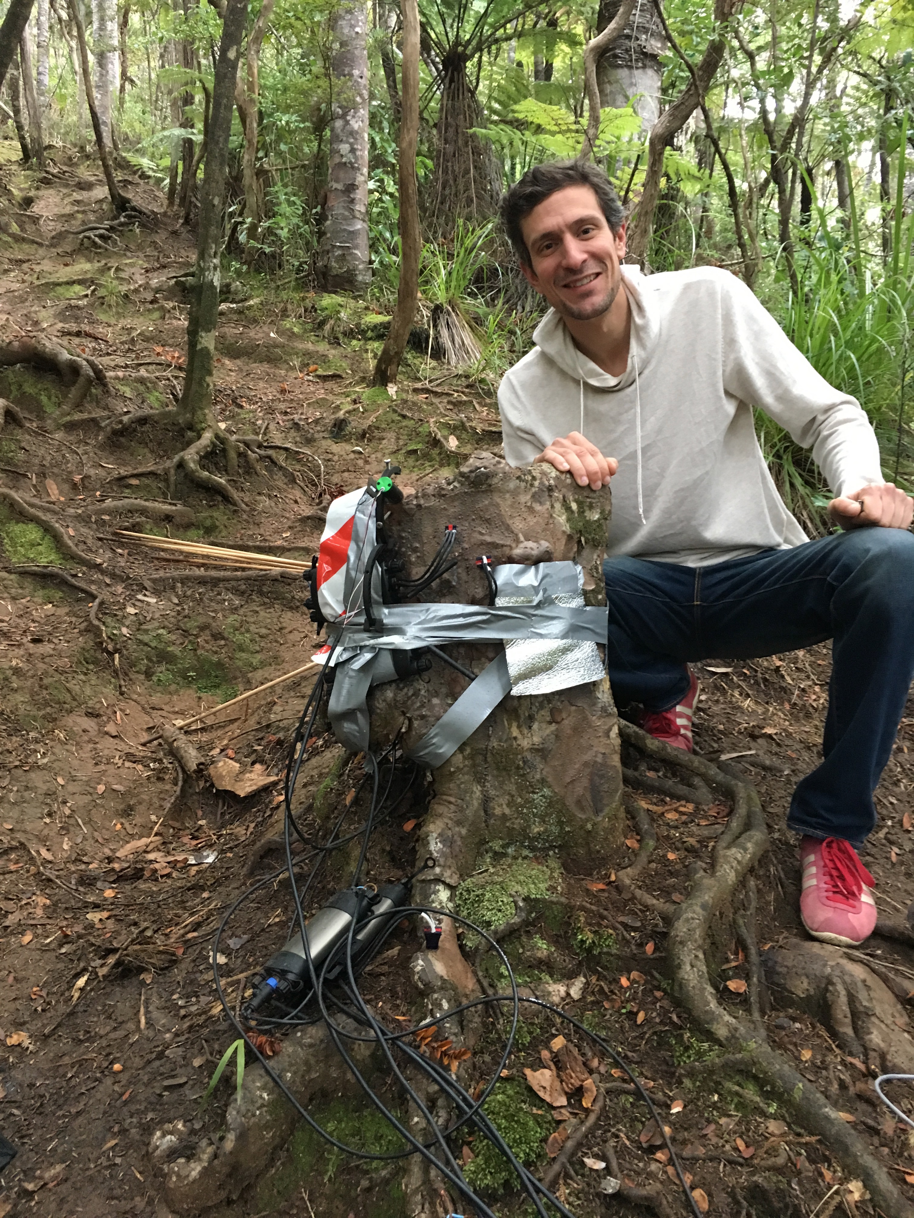 Sebastian Leuzinger with kauri stump