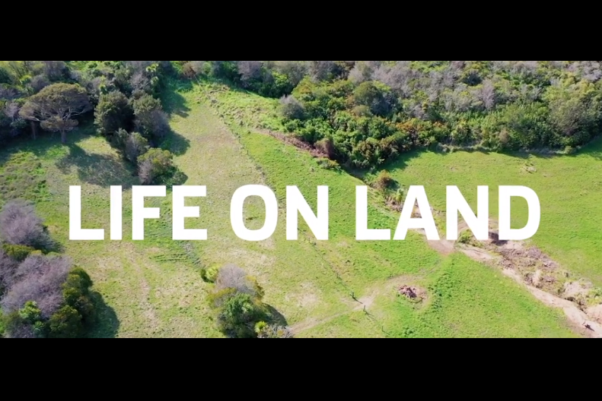 Life on land