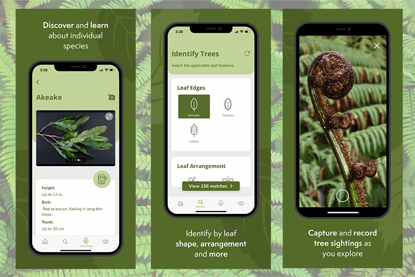 Nz Trees App