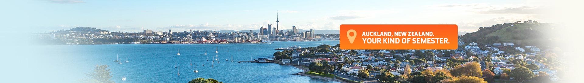Explore Auckland and New Zealand while you study