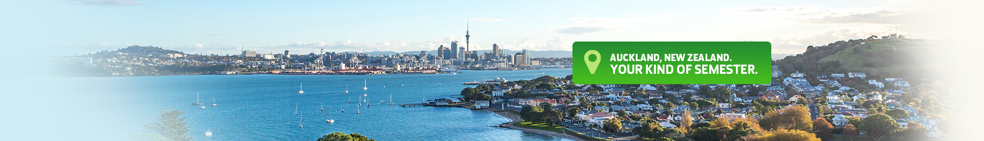Explore Auckland and New Zealand while you study