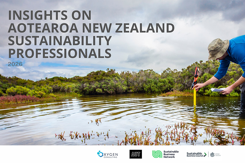 Insights on sustainability experts