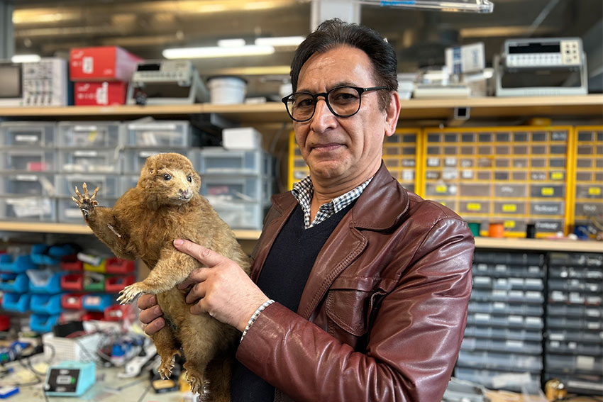 Teaching Ai to recognise possum calls