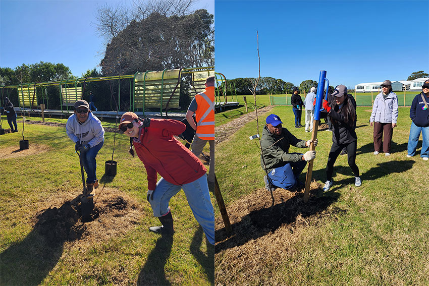 Work to add more trees to the orchard
