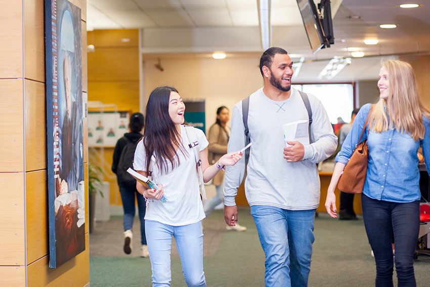 Auckland is one of the best places to study in New Zealand due to its culturally and ethnically diverse population.