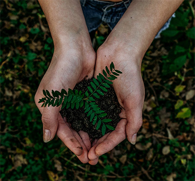 green hands