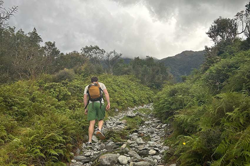 Cole Marco in Nz