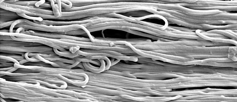 Short Course in Introduction to Textiles