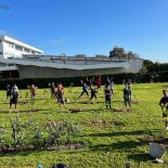 Impressions from AUT's community gardens