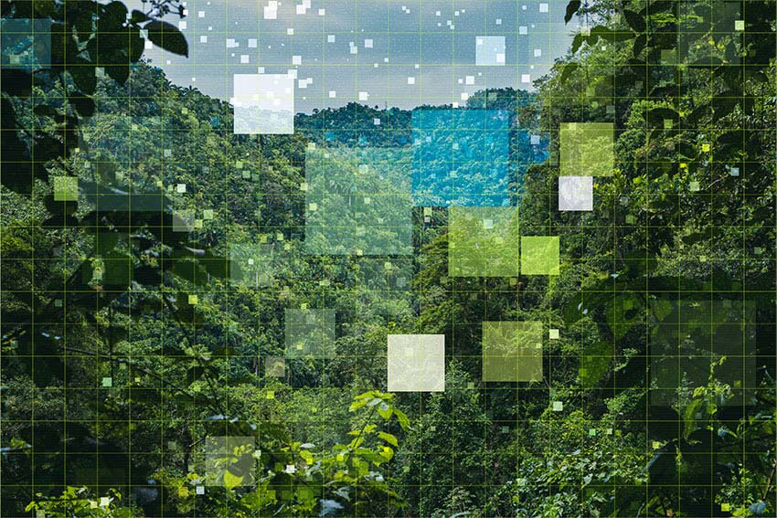 tile modelling health biology environment