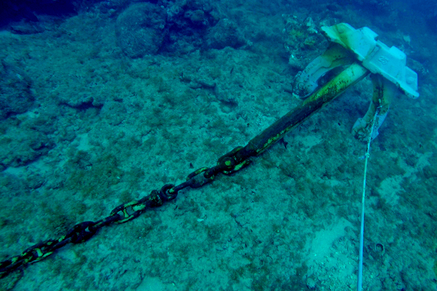Anchors cause damage to seafloor