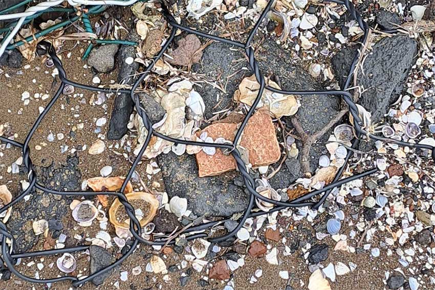 Asbestos research in east Auckland