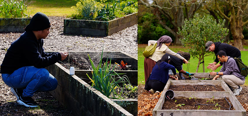 What's growing in the garden? A lot!