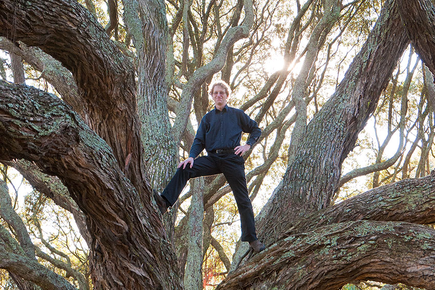Len Gillman in a tree