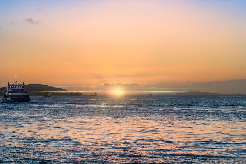 Auckland ferries are one of the best ways to experience and get around the city.