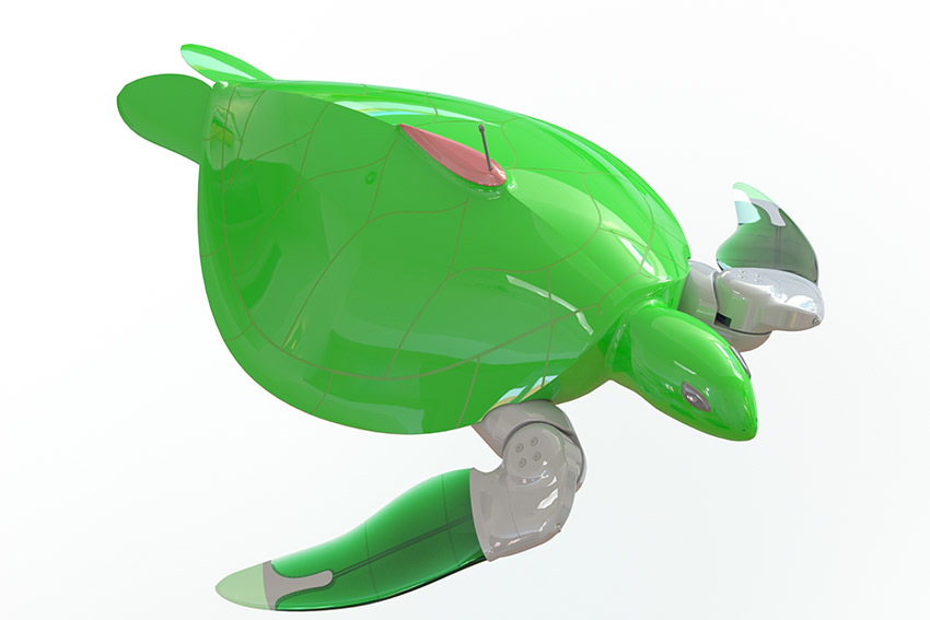 Meet Cornelia - AUT's robot turtle