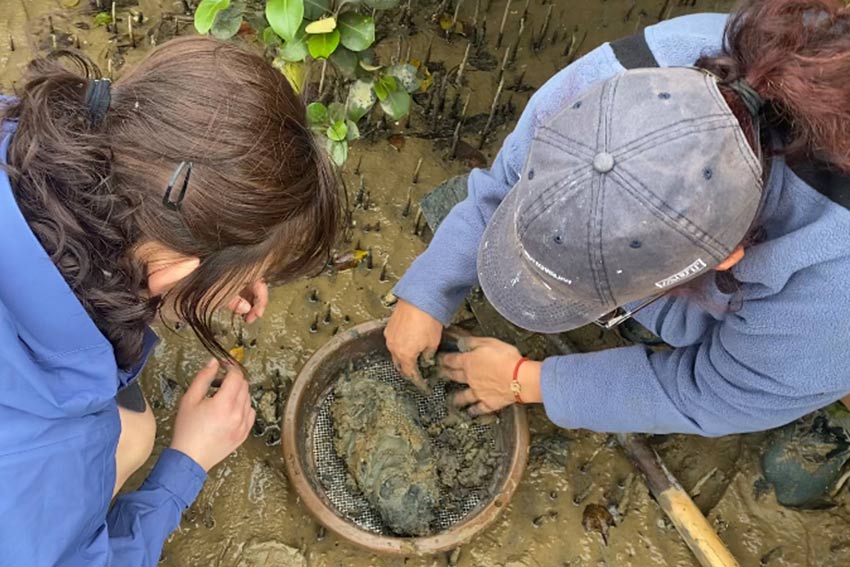 Ivy and Andrea collecting sediment samples and measuring crabs