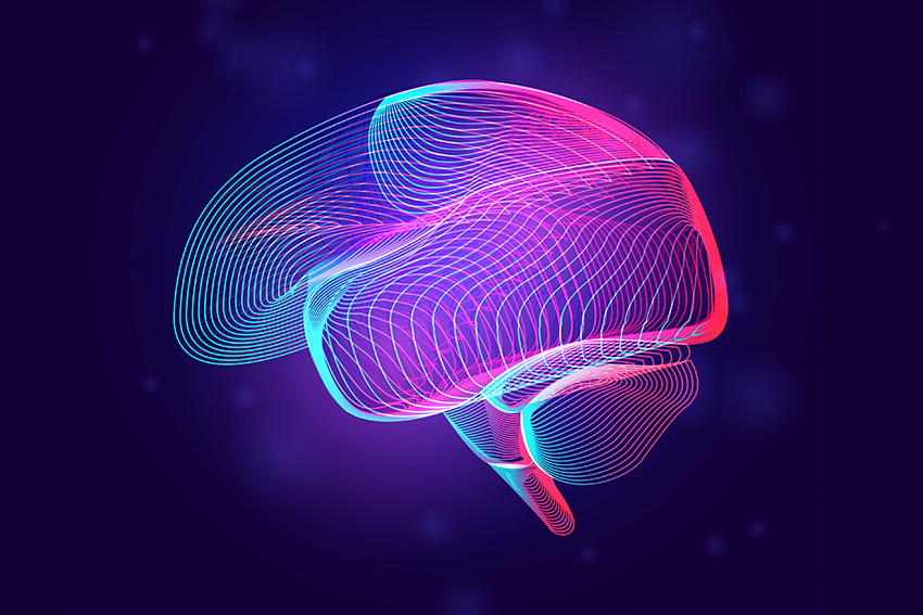 World-First brain WOF launched at AUT
