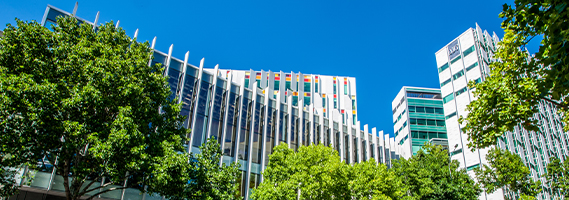 AUT's city campus
