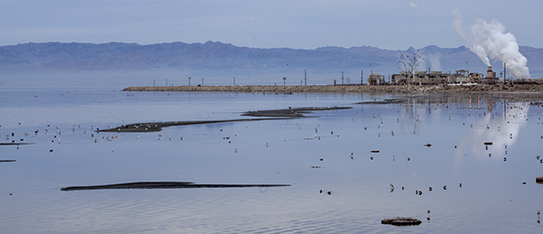 salton sea