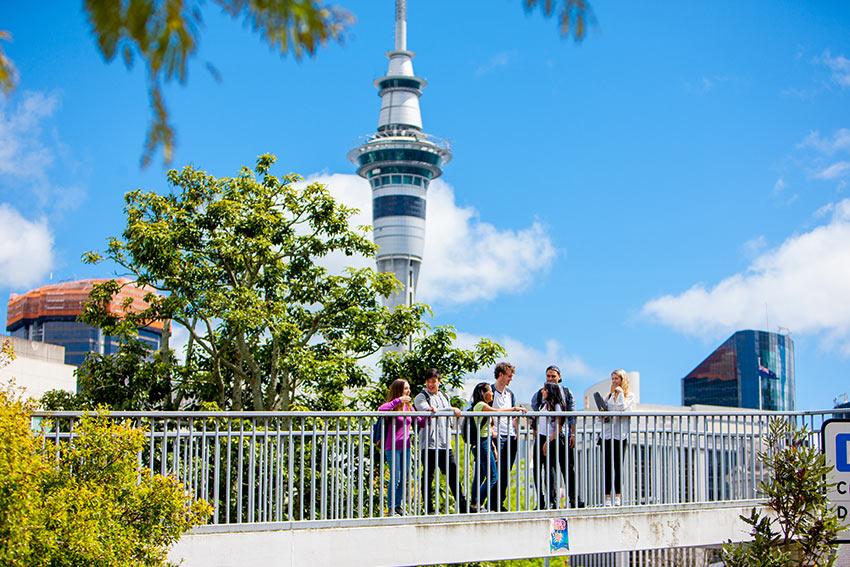 Study in Auckland