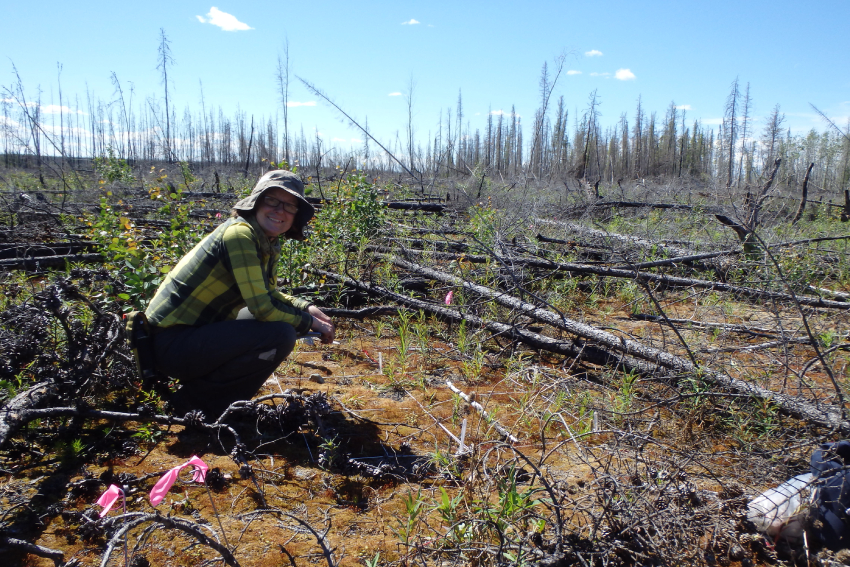 Ecologist Dr Nicola Day 