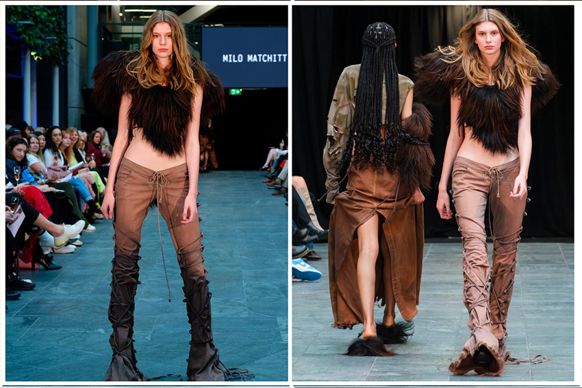 fashion