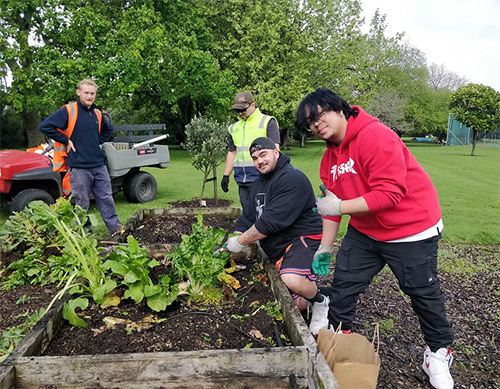 The garden club is happy at work