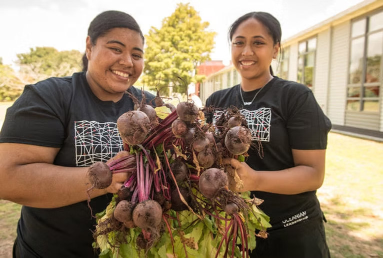 Volunteers at the harvest