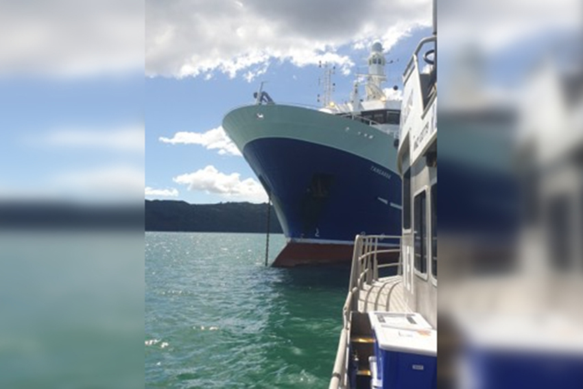 Ship anchors leave lasting mark on the seafloor