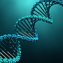 DNA string